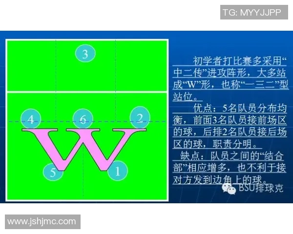 深圳排球队反击战术解析与未来发展展望